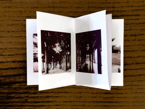 1 page folded zine photography.